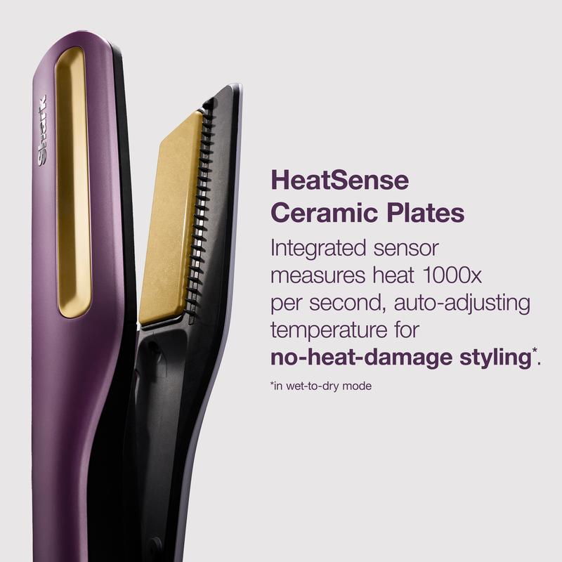 The 2-in-1 That Ends Bad Hair Days — Wet to Dry Straightener & Blow Dryer